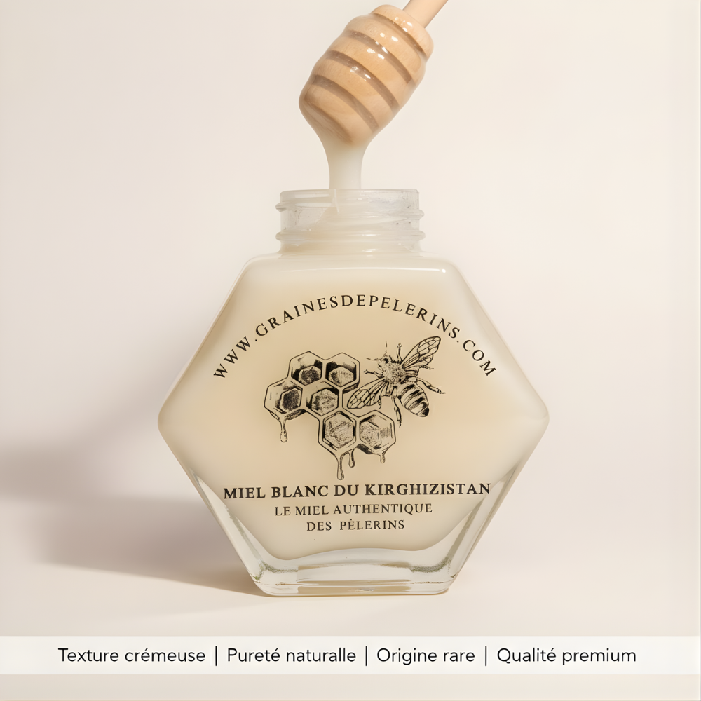 MIEL BLANC DU KIRGHIZISTAN – COFFRET ÉCRIN CUILLÈRE(250G)