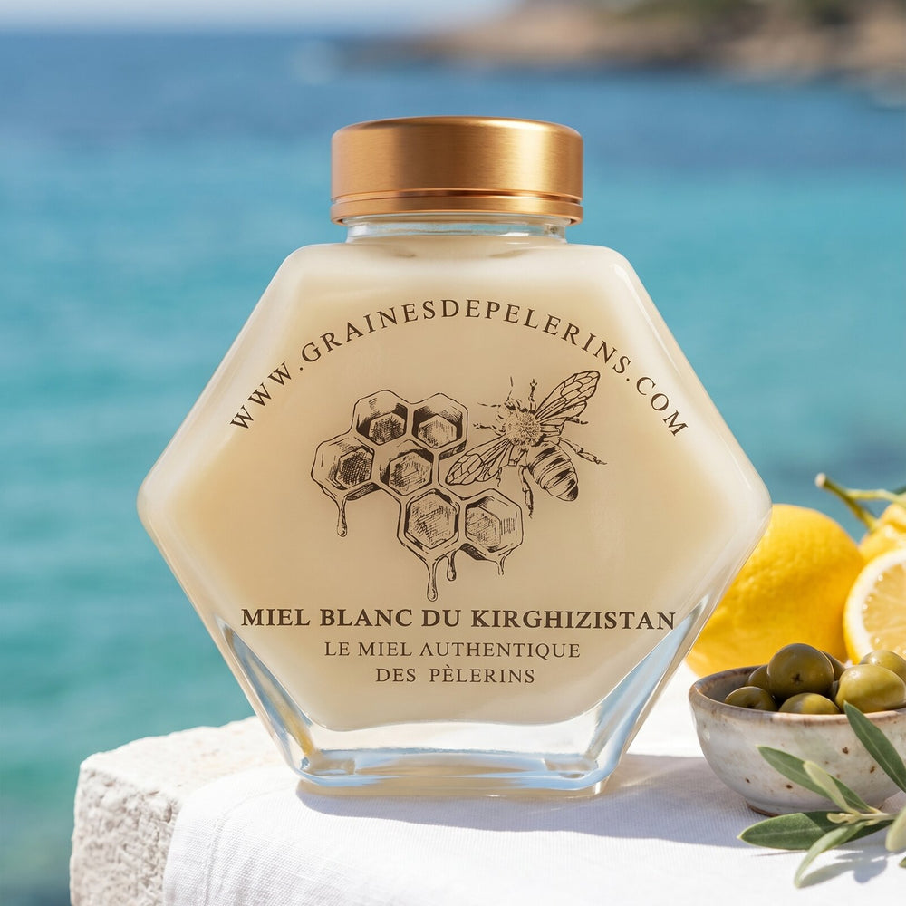 Miel Blanc du Kirghizistan, pot 250g, été
