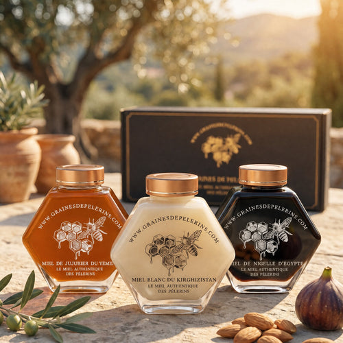 Coffret Vitalité, miels de Jujubier, Blanc et Nigelle, écrin signature, terrasse provençale