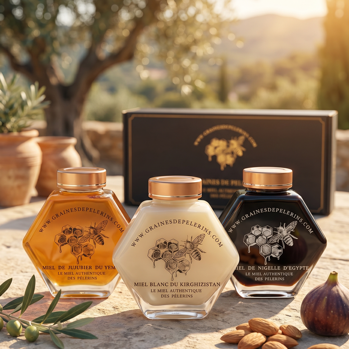 Coffret Vitalité — Miels de Jujubier, Blanc et Nigelle