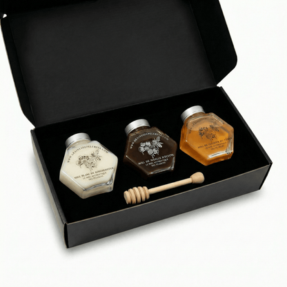 IMMUNITÄT-SET 3×250g Weißer Honig, Jujube, Schwarzkümmel