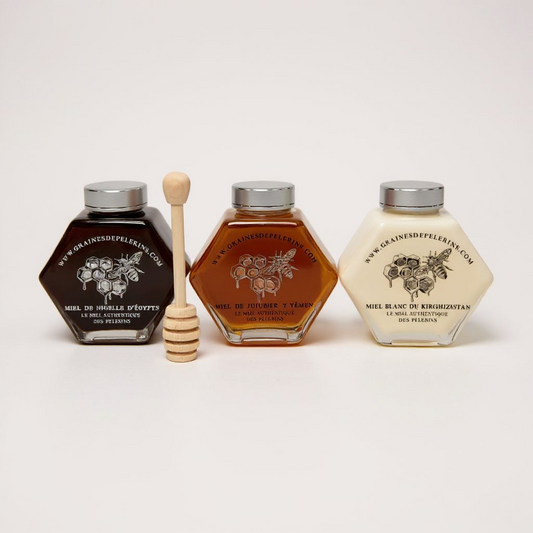 COFFRET IMMUNITÉ 3×250g Miel Blanc, Jujubier & Nigelle