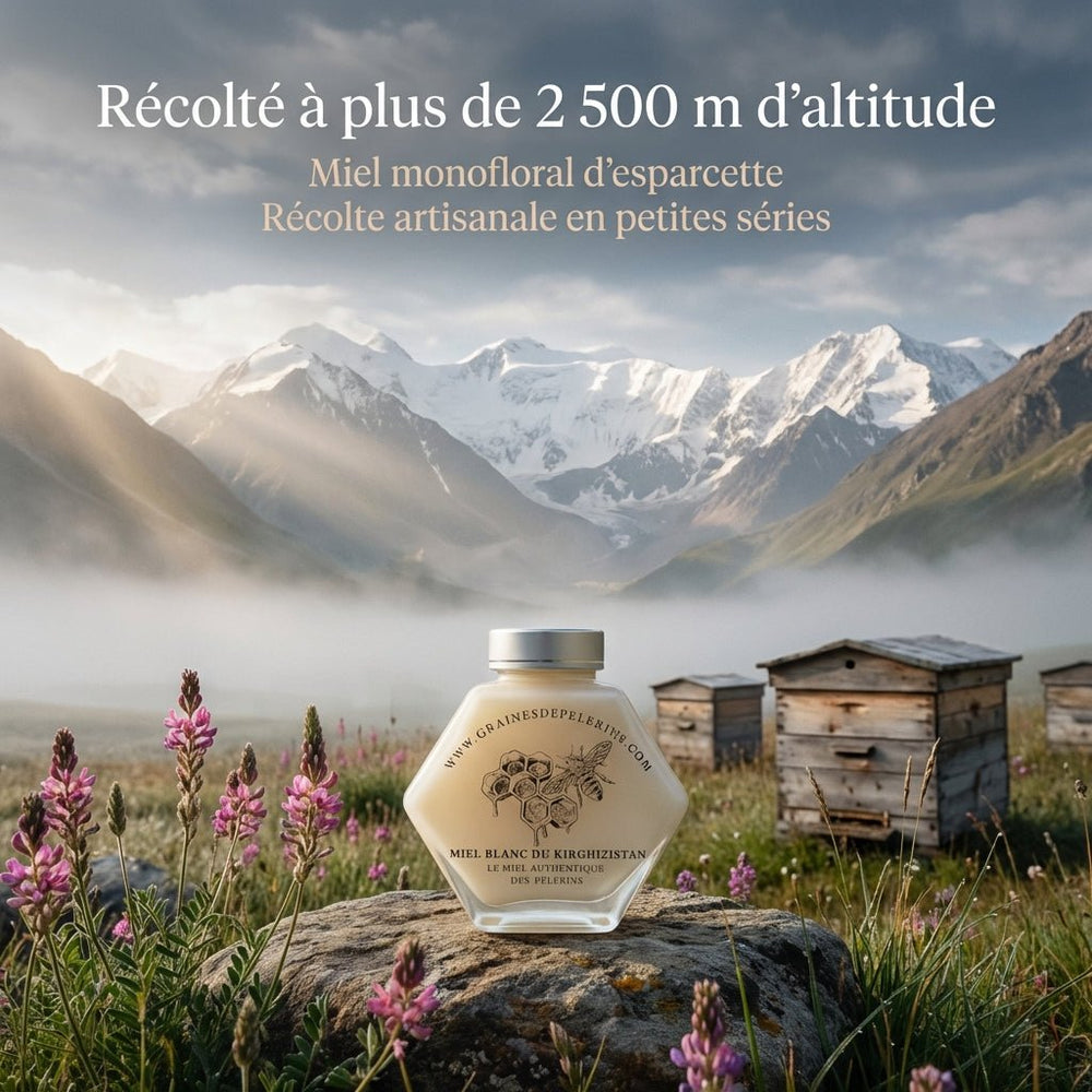 Cuillère bois et Miel Blanc du Kirghizistan en dégustation