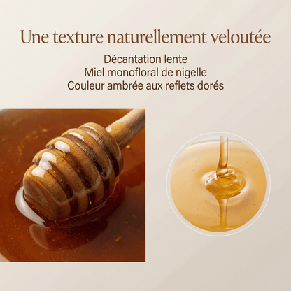 SCHWARZKÜMMEL-HONIG AUS ÄGYPTEN – GESCHENKSET MIT LÖFFEL (250G)