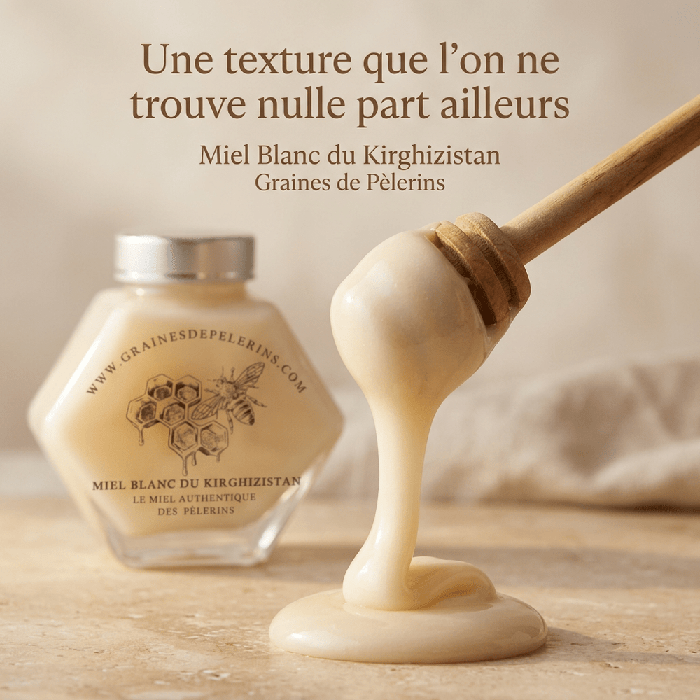 Miel Blanc Du Kirghizistan – Coffret Écrin Cuillère(250g) - GRAINES DE PÈLERINS