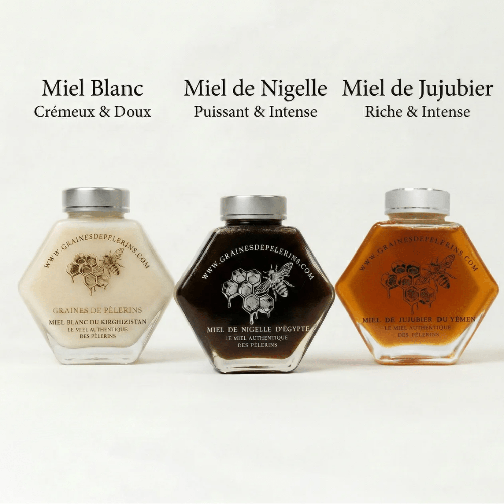 Coffret Vitalité 3×250g Miel Blanc, Jujubier, Nigelle - GRAINES DE PÈLERINS