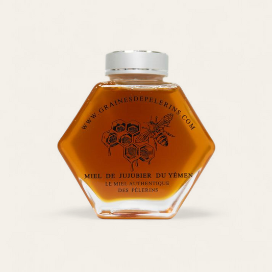 MIEL DE JUJUBIER DU YÉMEN