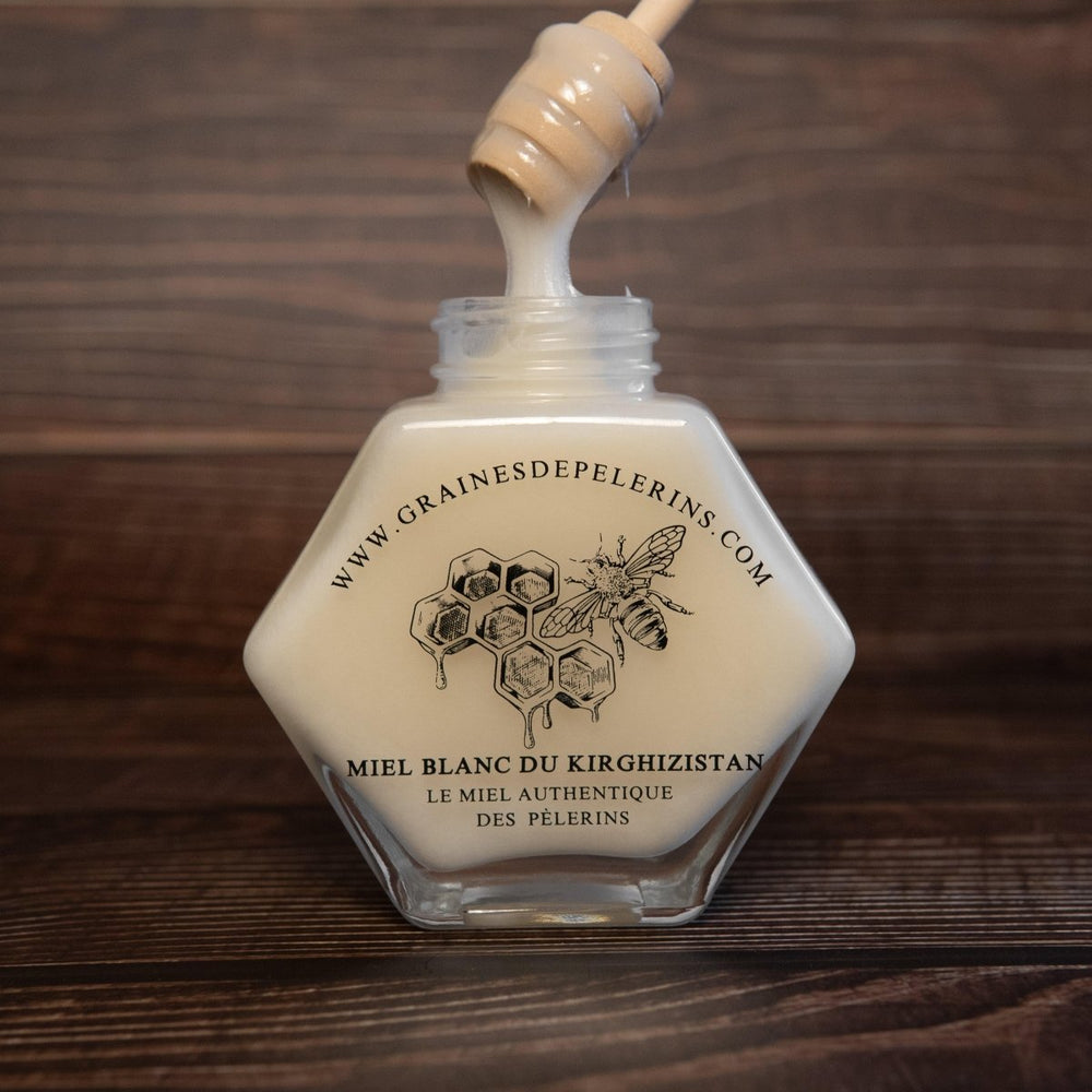 MIEL BLANC DU KIRGHIZISTAN – COFFRET ÉCRIN (250G)