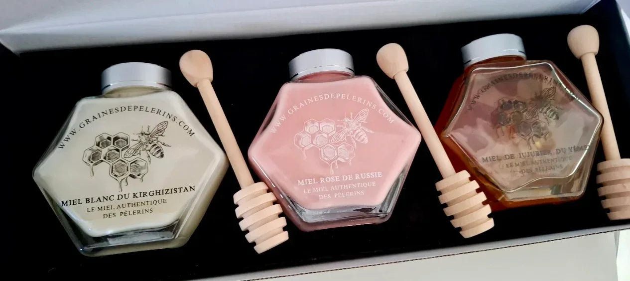 Review by Nordine S. Bruxelles, BE 🇧🇪