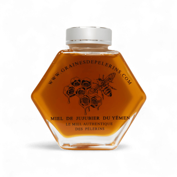 Miel de Jujubier du Yémen en pot écrin premium 250g