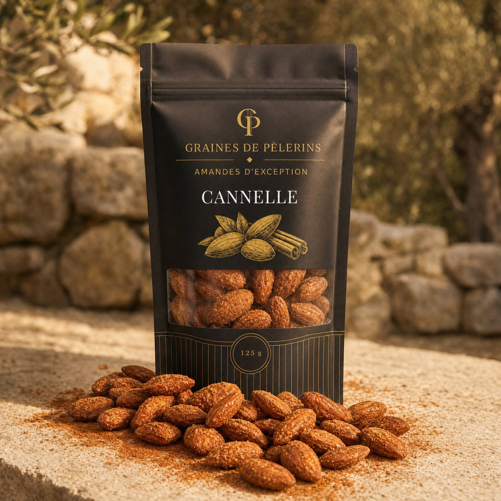 Amande Cannelle, sachet Graines de Pèlerins debout sur pierre travertin, amandes longues effilées et bâtons de cannelle au pied du sachet