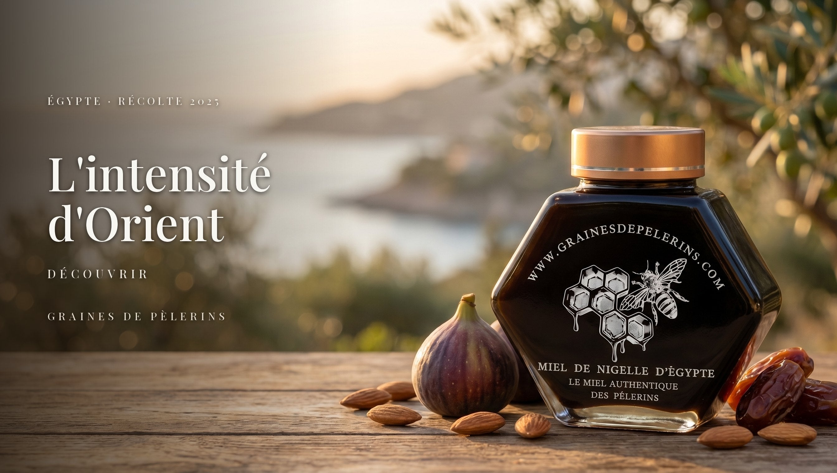 Bannière Nigelle été desktop