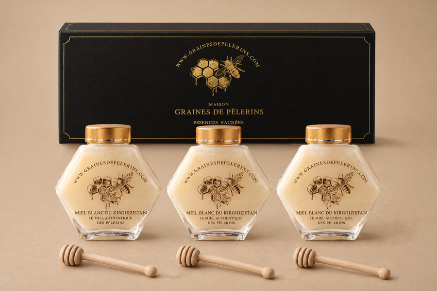 Cure 3 mois de Miel Blanc du Kirghizistan : 3 pots de 250 g devant le grand coffret noir et or de la Maison, avec 3 cuillères à miel en bois