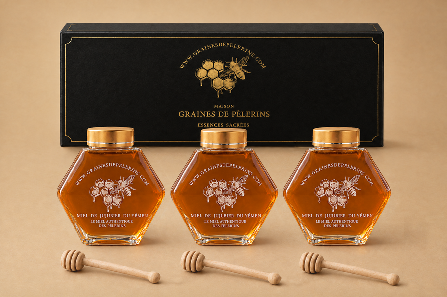 Cure 3 mois de Miel de Jujubier du Yémen : 3 pots de 250 g devant le grand coffret noir et or de la Maison, avec 3 cuillères à miel en bois