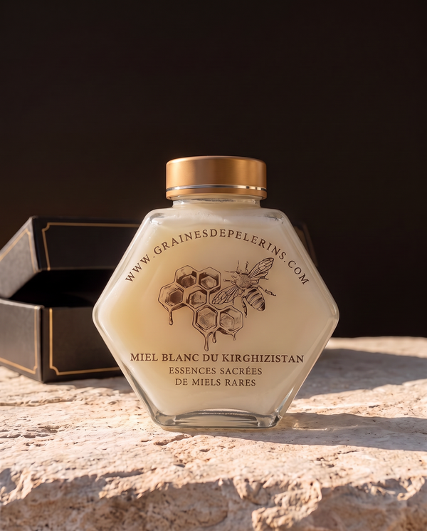 Miel Blanc du Kirghizistan, pot hexagonal et écrin noir sur pierre de travertin, lumière chaude