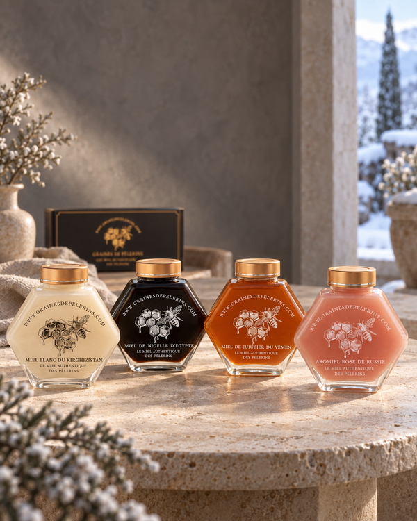 Die vier Sorten von Graines de Pèlerins: Weißer Honig aus Kirgisistan, Schwarzkümmelhonig aus Ägypten, Jujubier-Honig aus dem Jemen und Aromiel Rose aus Russland, sechseckige 250-g-Gläser auf einem Steintisch