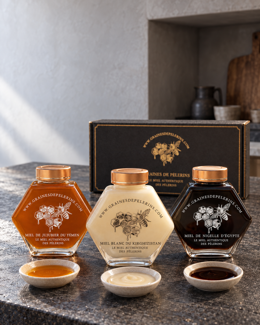 Jujubier-Honig, Weißer Honig und Nigella-Honig mit drei Schälchen zur Verkostung vor ihrer Geschenkbox in einer steinernen Küche.