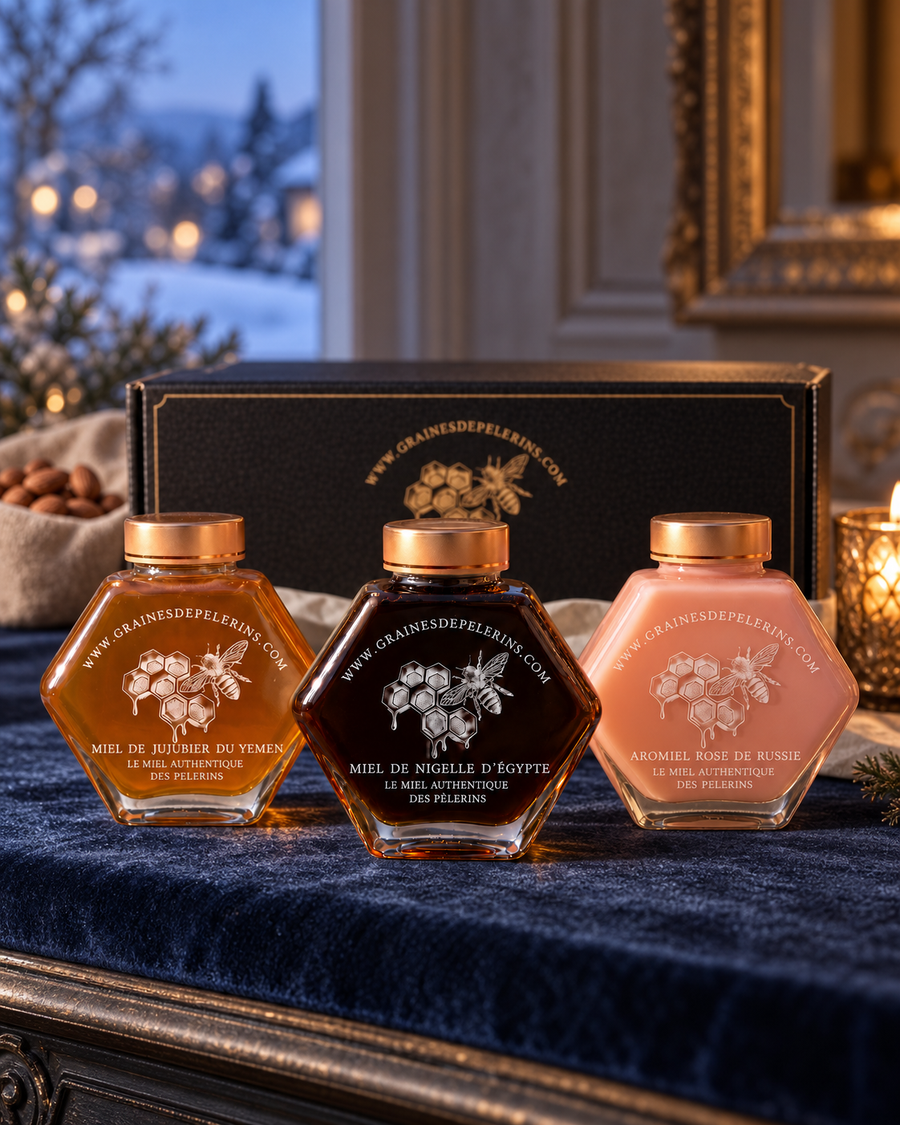Coffret Les Trois Routes Graines de Pèlerins : Miel de Jujubier du Yémen, Miel de Nigelle d’Égypte et Aromiel Rose de Russie, trois pots de 250 g devant leur écrin noir et or, sur velours bleu nuit