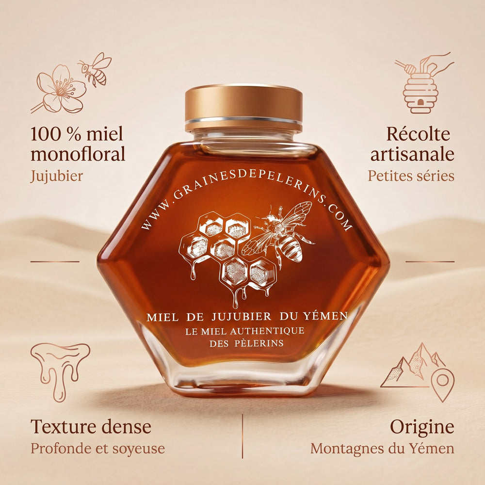 Miel de Jujubier du Yémen : monofloral, récolte artisanale, texture dense, origine montagnes du Yémen
