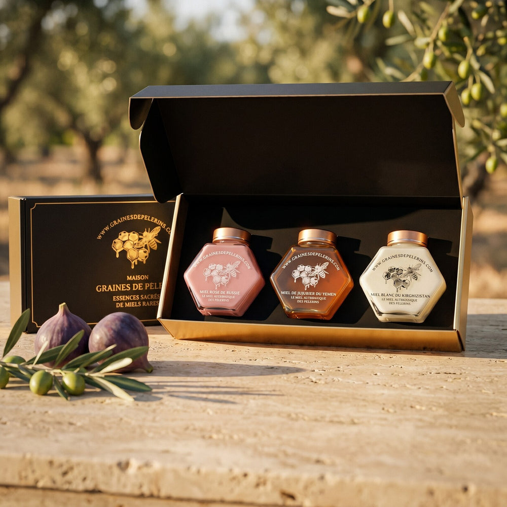 Coffret Prestige — trois miels rares dans leur écrin signature, scène méditerranéenne d'été