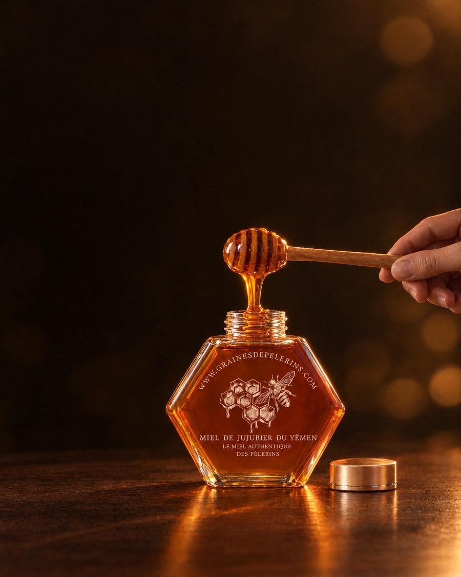 Miel de Jujubier coulant de la cuillère en bois dans son pot, lumière d’hiver.